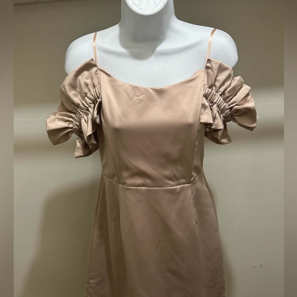 Super Cute Champagne Colored Dress View 5
